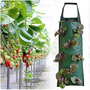 Unbranded Strawberry planting bag, 3 hanging strawberry growing bags, planting bag, with 8 Unbranded Strawberry planting bag, 3 hanging strawberry growing bags, planting bag, with 8