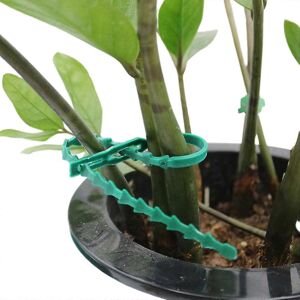 Unbranded Reusable and adjustable 17cm plastic quick-release plant support clips, 100 piec Unbranded Reusable and adjustable 17cm plastic quick-release plant support clips, 100 piec