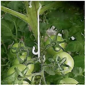 Unbranded Pack of 100 climbing plant clips, 16 cm, for tomatoes Unbranded Pack of 100 climbing plant clips, 16 cm, for tomatoes
