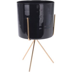 Carousel Contemporary Indoor Black Metal Cache Pot With Stand Decorative Cachepot Plant Carousel Contemporary Indoor Black Metal Cache Pot With Stand Decorative Cachepot Plant