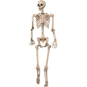 Unbranded 165cm Halloween Skeleton Poseable Life Size Party Decoration Unbranded 165cm Halloween Skeleton Poseable Life Size Party Decoration