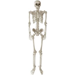 RTYRYH Poseable Life-Size Skeleton Halloween Decoration - 170cm RTYRYH Poseable Life-Size Skeleton Halloween Decoration - 170cm