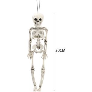 MDSRJONE (30CM) Full Size Halloween Skeleton Haunted House Poseable Human Skeleton Prop D MDSRJONE (30CM) Full Size Halloween Skeleton Haunted House Poseable Human Skeleton Prop D