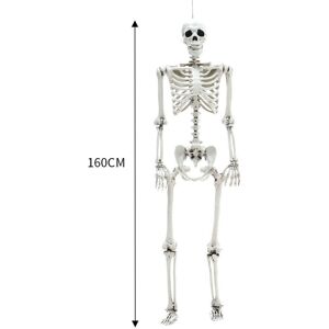 MDSRJONE (160CM) Full Size Halloween Skeleton Haunted House Poseable Human Skeleton Prop MDSRJONE (160CM) Full Size Halloween Skeleton Haunted House Poseable Human Skeleton Prop