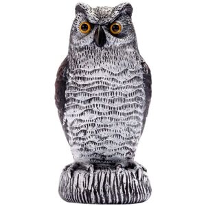 BGHONE (C) Realistic Owl Bird Pest Deterrent Scarer Statue Garden Decoration BGHONE (C) Realistic Owl Bird Pest Deterrent Scarer Statue Garden Decoration
