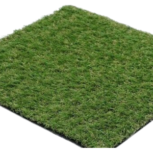 Unbranded (2m, 5m) 20mm Artificial Grass- Realistic Looking Lawn Turf Unbranded (2m, 5m) 20mm Artificial Grass- Realistic Looking Lawn Turf