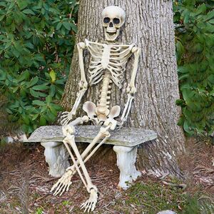 MDSRJONE 170cm Giant Life Size Human Skeleton Model Horror Bone Posable Halloween Decor MDSRJONE 170cm Giant Life Size Human Skeleton Model Horror Bone Posable Halloween Decor