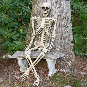 SKESRJTOP 170cm Giant Life Size Human Skeleton Model Horror Bone Posable Halloween Decor SKESRJTOP 170cm Giant Life Size Human Skeleton Model Horror Bone Posable Halloween Decor