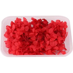 Unbranded (Red) Real Dried Flower Dry Plants For Aromatherapy Candle Epoxy Resin Pendant N Unbranded (Red) Real Dried Flower Dry Plants For Aromatherapy Candle Epoxy Resin Pendant N