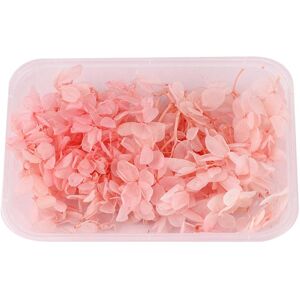 Unbranded (Light Pink) Real Dried Flower Dry Plants For Aromatherapy Candle Epoxy Resin Pe Unbranded (Light Pink) Real Dried Flower Dry Plants For Aromatherapy Candle Epoxy Resin Pe