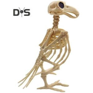 Unbranded (as the picture, Q) Halloween Decoration Mini Skeleton Bone Statues Poseable Rat Unbranded (as the picture, Q) Halloween Decoration Mini Skeleton Bone Statues Poseable Rat