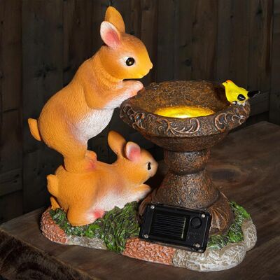 Vivo Solar Rabbit Bird Bath Garden Ornaments Outdoor Lights Statue Waterproof Decor Vivo Solar Rabbit Bird Bath Garden Ornaments Outdoor Lights Statue Waterproof Decor