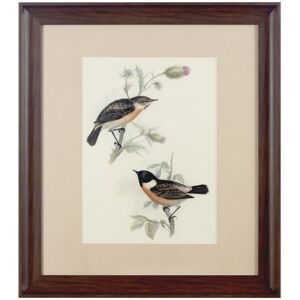 Premier Housewares Framed Birds 2 Wall Art Premier Housewares Framed Birds 2 Wall Art