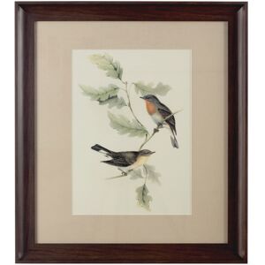 Premier Housewares Framed Birds 1 Wall Art Premier Housewares Framed Birds 1 Wall Art