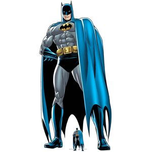 Batman Cape Comic Lifesize Cardboard Cutout Superhero Standup Batman Cape Comic Lifesize Cardboard Cutout Superhero Standup