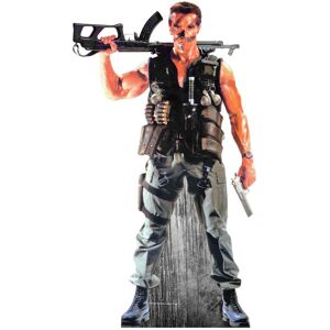 Arnold Schwarzenegger Photos and Posters Arnold Schwarzenegger Lifesize Cardboard Cutout / Standee / Standup Arnold Schwarzenegger Photos and Posters Arnold Schwarzenegger Lifesize Cardboard Cutout / Standee / Standup