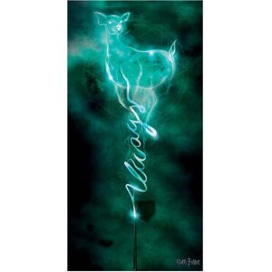 Harry Potter Doe Always Patronus Canvas Print Harry Potter Doe Always Patronus Canvas Print