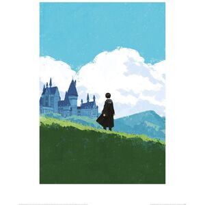(80cm x 60cm, Blue/Green) Harry Potter Harry Print (80cm x 60cm, Blue/Green) Harry Potter Harry Print