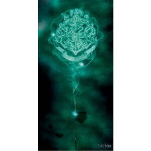 Harry Potter Patronus Hogwarts Crest Canvas Print Harry Potter Patronus Hogwarts Crest Canvas Print