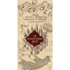 Harry Potter Marauders Map Canvas Print Harry Potter Marauders Map Canvas Print