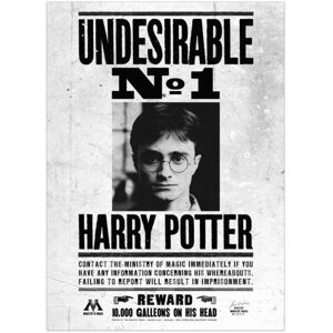 (40cm x 30cm, Black/White) Harry Potter Undesirable No. 1 Framed Canvas Print (40cm x 30cm, Black/White) Harry Potter Undesirable No. 1 Framed Canvas Print