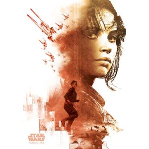 Star Wars: Rogue One Jyn Erso Canvas Print Star Wars: Rogue One Jyn Erso Canvas Print