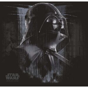Star Wars: Rogue One Darth Vader Canvas Print Star Wars: Rogue One Darth Vader Canvas Print