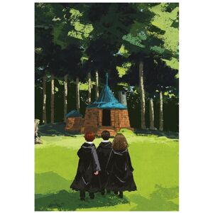 (60cm x 80cm, Green/Black) Harry Potter The Lonely Hut Print (60cm x 80cm, Green/Black) Harry Potter The Lonely Hut Print