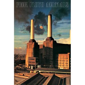NMRAquarius Pink Floyd Animals Poster NMRAquarius Pink Floyd Animals Poster