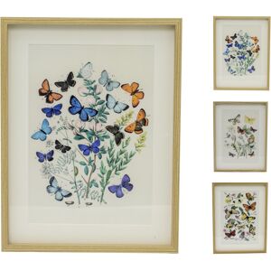 Carousel Home Framed Butterfly Prints Wildlife Butterflies Pictures For Walls - 31x41cm Carousel Home Framed Butterfly Prints Wildlife Butterflies Pictures For Walls - 31x41cm