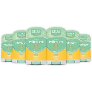 Revlon Mitchum Women Triple Odor Defense 48HR Protection Deodorant Stick and Ant Revlon Mitchum Women Triple Odor Defense 48HR Protection Deodorant Stick and Ant