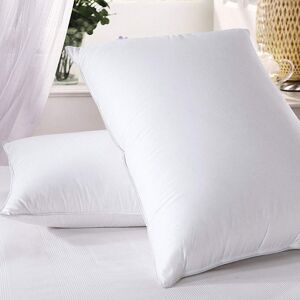 Moonlight Bedding Limited (FIRM DELUXE PILLOW x 2) MOONLIGHT BEDDING ANTI ALLERGY PILLOWS x 2, WHITE Moonlight Bedding Limited (FIRM DELUXE PILLOW x 2) MOONLIGHT BEDDING ANTI ALLERGY PILLOWS x 2, WHITE
