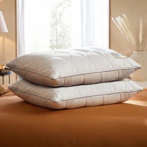 Sealy Dual Comfort Memory Foam Pillow - 2 Pack (100206001): Soft Hollowfibre + F Sealy Dual Comfort Memory Foam Pillow - 2 Pack (100206001): Soft Hollowfibre + F