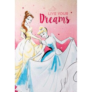 Disney Princess Blanket Oversized Twin Throw 62"""" x 90"""" Disney Princess Blanket Oversized Twin Throw 62"""" x 90""""