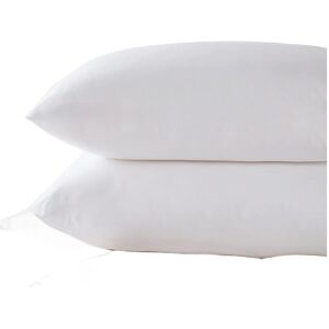 Laura Secret Hotel Quality Super Bounce Back Pillows 2 pack Ultra Loft Filled Pillow Laura Secret Hotel Quality Super Bounce Back Pillows 2 pack Ultra Loft Filled Pillow