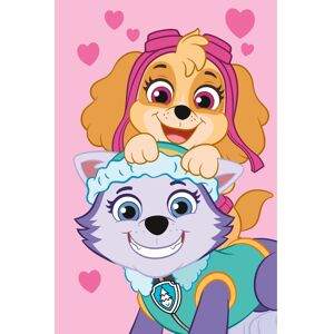 Paw Patrol Fleece Throw Blanket 100 x 150 cm Large. Skye & Everest Paw Patrol Fleece Throw Blanket 100 x 150 cm Large. Skye & Everest
