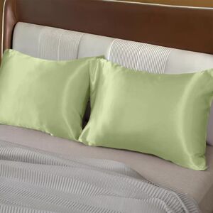 Imperial Rooms (Mint Pillowcase 2-Pack) Double Sided Pillowcase Satin Silk Soft Pillow Cover Fo Imperial Rooms (Mint Pillowcase 2-Pack) Double Sided Pillowcase Satin Silk Soft Pillow Cover Fo