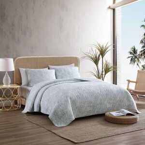 Tommy Bahama - Queen Quilt Set Reversible Cotton Bedding with Matching Shams Coa Tommy Bahama - Queen Quilt Set Reversible Cotton Bedding with Matching Shams Coa