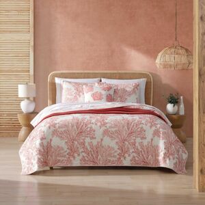 Tommy Bahama - Twin Quilt Set Reversible Cotton Bedding with Matching Sham Coral Tommy Bahama - Twin Quilt Set Reversible Cotton Bedding with Matching Sham Coral