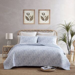 Tommy Bahama - Twin Quilt Set Reversible Cotton Bedding with Matching Sham Coast Tommy Bahama - Twin Quilt Set Reversible Cotton Bedding with Matching Sham Coast