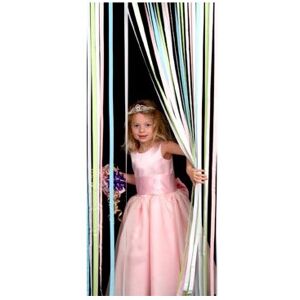 Holland Plastics Pastel Multi Colour Slat Type Door Curtain - Door Curtain Holland Plastics Pastel Multi Colour Slat Type Door Curtain - Door Curtain