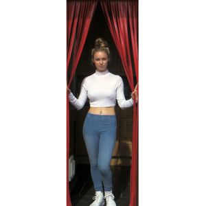 Holland Plastics Original Brand (All Red) Slat Type Door Curtain,Bug Blind,Fly Blind,Strip Blind Holland Plastics Original Brand (All Red) Slat Type Door Curtain,Bug Blind,Fly Blind,Strip Blind