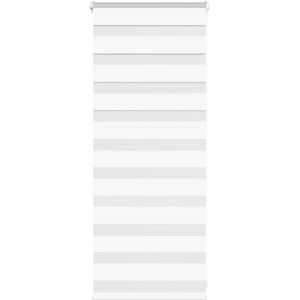 (white, 65 x 100 cm) vidaXL Zebra Blind Dark Grey 60x230 cm Fabric Width 55.9 cm (white, 65 x 100 cm) vidaXL Zebra Blind Dark Grey 60x230 cm Fabric Width 55.9 cm