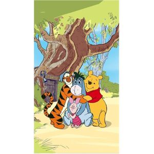 Voile - Disney - Winnie the Pooh - 140CM x 245CM - Black - Synthetic Voile - Disney - Winnie the Pooh - 140CM x 245CM - Black - Synthetic