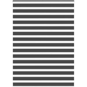 (black, 160 x 230 cm) vidaXL Zebra Blind Black 145x230 cm Fabric Width 140.9 cm (black, 160 x 230 cm) vidaXL Zebra Blind Black 145x230 cm Fabric Width 140.9 cm