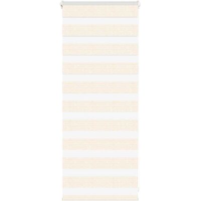 VidaXL Zebra roller blind - 60x100 cm, beige, polyester, modern design VidaXL Zebra roller blind - 60x100 cm, beige, polyester, modern design