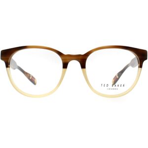 Ted Baker Glasses Frames TB8197 Cade 162 Brown Horn and Honey Men Women Ted Baker Glasses Frames TB8197 Cade 162 Brown Horn and Honey Men Women