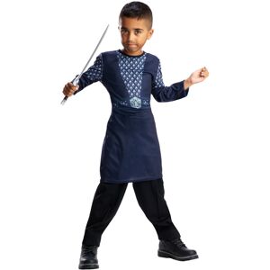 Rubies The Hobbit Kids Thorin Oakenshield Blister Kit Rubies The Hobbit Kids Thorin Oakenshield Blister Kit