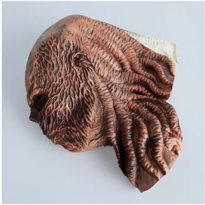 Maxpower (Vecna Mask 2 no led) Vecna Cosplay Latex Masks Stranger Things Horror Halloween Maxpower (Vecna Mask 2 no led) Vecna Cosplay Latex Masks Stranger Things Horror Halloween