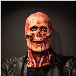 Maxpower (As Show) Scary Walking Dead Zombie Head Mask Latex Creepy Halloween Costume Par Maxpower (As Show) Scary Walking Dead Zombie Head Mask Latex Creepy Halloween Costume Par